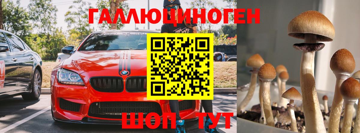 Псилоцибиновые грибы MAGIC MUSHROOMS Миасс