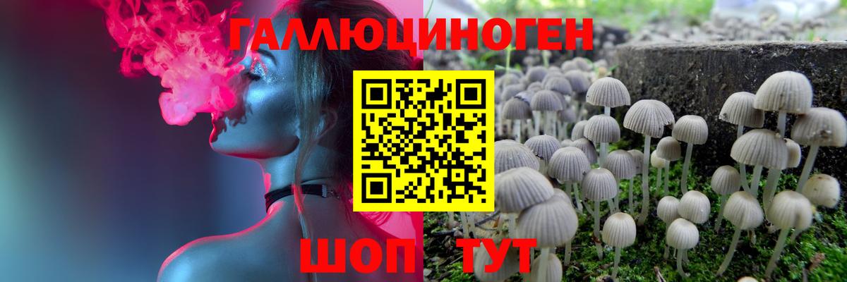 Миасс  Галлюциногенные грибы MAGIC MUSHROOMS  Вход с VPN 